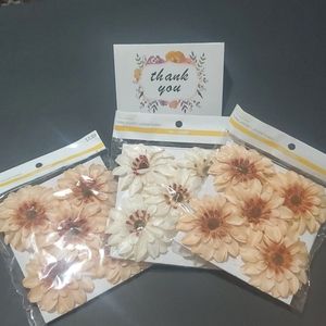 Ashland Floral Accent 3 packs